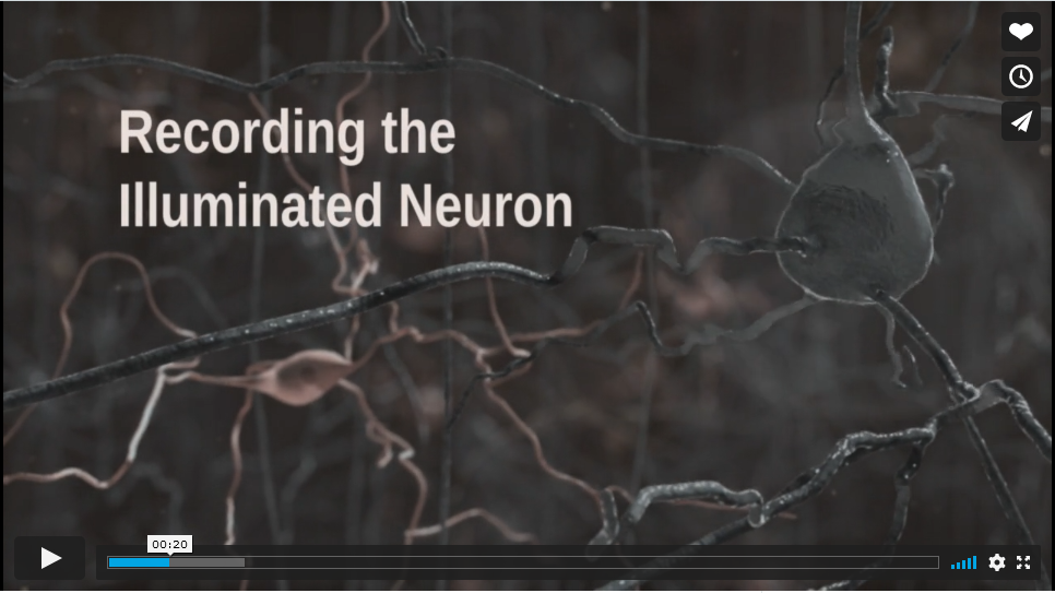 Recording the illuminated neuron