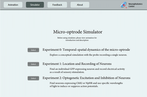 Micro-optrode simulator
